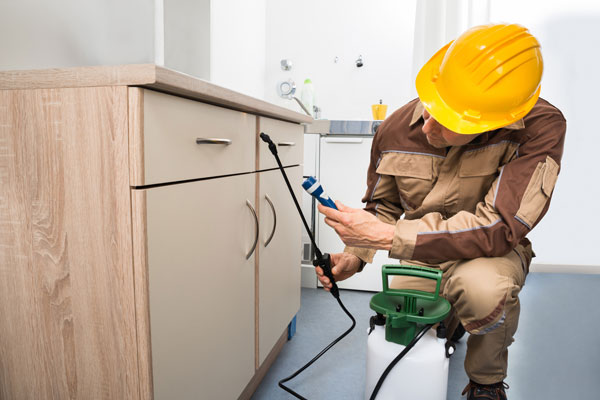 Pest Control Services - Call: 01202 042814 or Visit: www.pest-control-bournemouth.uk | TPD Environmental Services