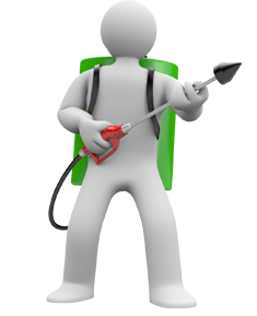 Pest Control Services - Call: 01202 042814 or Visit: www.pest-control-Bournemouth.uk | TPD Environmental Services