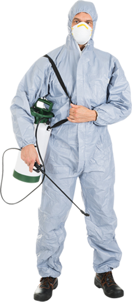 Pest Control Services - Call: 01202 042814 or Visit: www.pest-control-bournemouth.uk | TPD Environmental Services